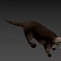 Realistic 3D Otter Model With Brown Fur Standing On Green Background