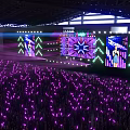 Live Stage Performance With Performer Purple Green Lights And Large Screen 3d model
