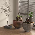 Natural Style Ceramic Aquarium Fish Tank With Bare Tree On Wooden Floor Near Window Blinds