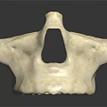 Natural White Irregular Shaped Porous Object On Black Reflective Background
