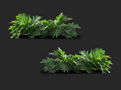 Vibrant Green Shrubs Featuring Lush Dense Foliage And Detailed Leaves 3d model