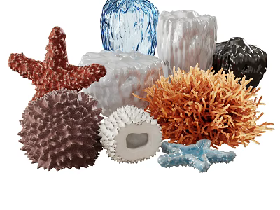 Vibrant Coral And Starfish Shaped Decorative Ornament Set For Home Decor 3d model
