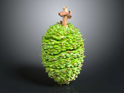 Fresh Green Scaly Exotic Fruit With Brown Top And Textured Surface 3d model