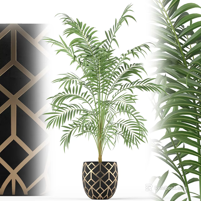 Lush Areca Palm Potted Plant With Black Gold Geometric Pattern Pot For Indoor Decor 3d model 