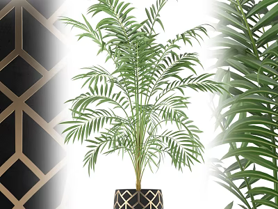 Lush Areca Palm Potted Plant With Black Gold Geometric Pattern Pot For Indoor Decor 3d model