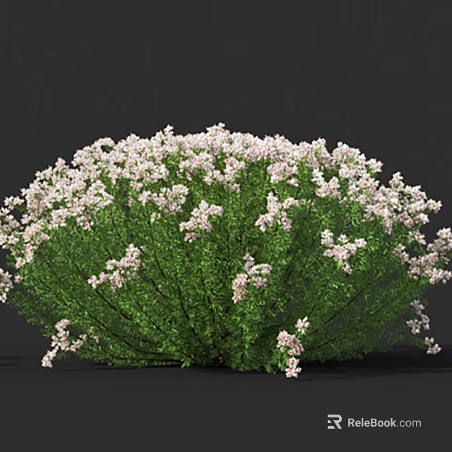 Bushy Green Shrub With Dense Foliage And Abundant White Flowers In Full Bloom 3d model 