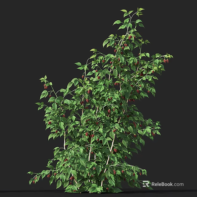 Lush Green Bush With Red Berries And Dense Foliage For Garden Landscaping 3d model 