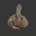 Fresh Garlic Bulb with Peeled Cloves and Pale Pink Skin on Dark Background