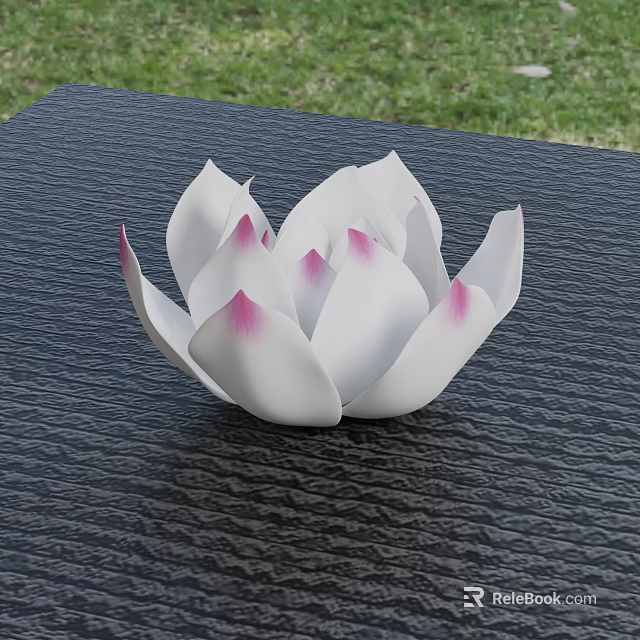 White Lotus Shaped Vase With Pink Edges On Black Textured Table Green Grass Background 3d model 