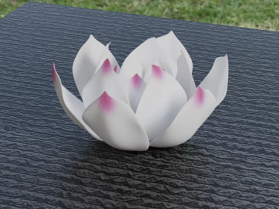 White Lotus Shaped Vase With Pink Edges On Black Textured Table Green Grass Background 3d model
