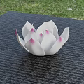 White Lotus Shaped Vase With Pink Edges On Black Textured Table Green Grass Background