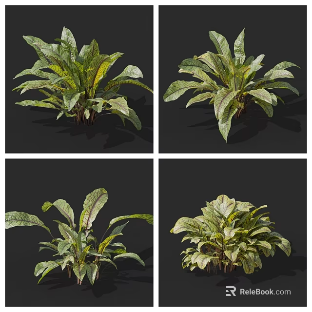 Fresh Leafy Green Vegetables With Vibrant Green And Purple Veined Leaves 3d model 
