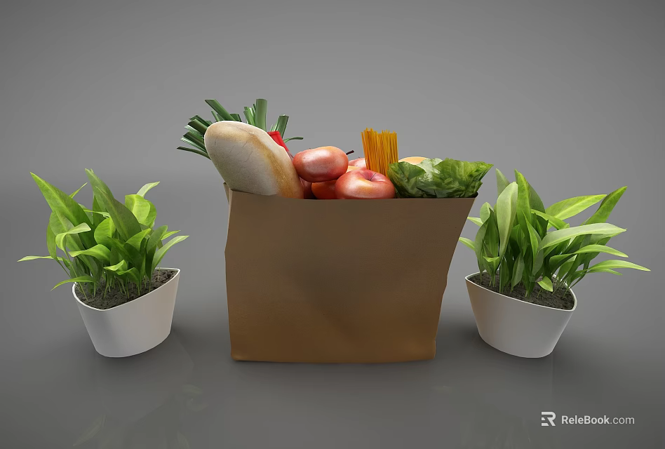 Fresh Food Items In Brown Paper Bag With Vegetables Bread And Green Plants 3d model 