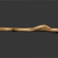 Golden Scaled Reptile Snake with Coiled Body and Metallic Texture on Dark Background