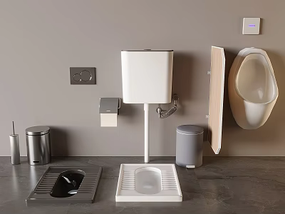 Modern Bathroom Toilet Setup With Squat Toilet Wall Mounted Design And Accessories 3d model