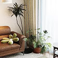 Bonsai Potted Plant in Living Room with Brown Leather Sofa Green Cushion and Window Curtains