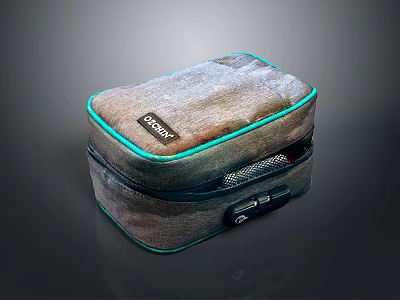 DOOMIN Gray Storage Bag With Blue Trim Zipper And Mesh Pocket For Travel Accessories 3d model