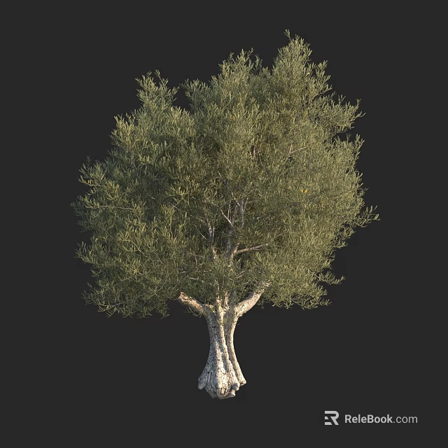 Lush Green Arbor With Textured Trunk And Dense Foliage Against Dark Background 3d model 