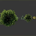 Cartoon Scene With Tall And Small Pine Trees Little People Green Grass And Yellow Flowers