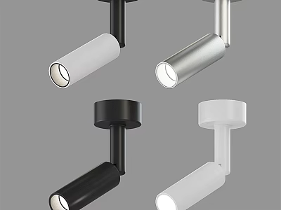 Modern Black And White Downlights Spotlights For Home Interior Lighting 3d model
