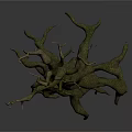 Gnarled Tree Root Decorative Element With Twisted Branches Organic Shape And Natural Texture