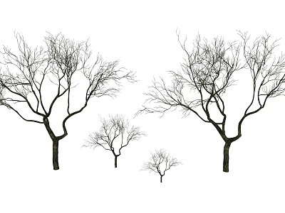 Bare Deciduous Trees With Different Sizes Trunk And Branches On White Background 3d model