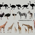 2D Animal Ostrich Giraffe Silhouette 3d model