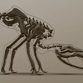 Game Movie Character Skeleton Structure Fantasy Creature With Detailed 3D Design