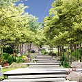 Tranquil Garden Landscape With Cherry Blossom Tree Gravel Ground And Wooden Screens