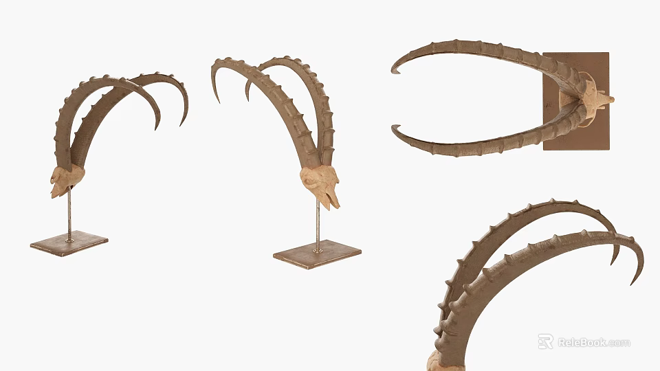 Elegant Curved Horn Decorative Ornament Set With Stand Base And Wall Mounted Design 3d model 