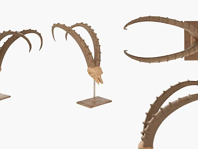 Elegant Curved Horn Decorative Ornament Set With Stand Base And Wall Mounted Design 3d model