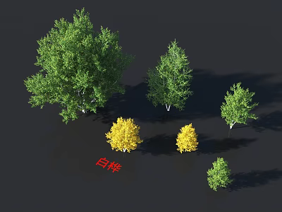 Birch Trees With Green Yellow Foliage And Different Sizes For Landscape Design 3d model