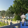 Scenic Garden Landscape With Tall Trees Green Grass Pergola Pathway And Walking Area