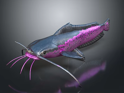 Vibrant Pink And Blue Aquatic Fish With Long Whiskers And Metallic Reflective Body 3d model