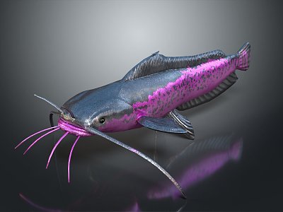 Modern Fish Catfish Underwater World Animals 3d model