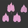Four Colorful Autumn Leaves Orange Red Green Yellow on Grey Background with Reflections