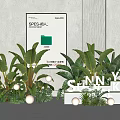 Modern Interior Plant Combination Featuring Large Leaf Green Plants And White Decorative Spheres