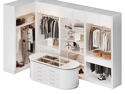 White Walk In Closet Storage Design With Hanging Rods Drawers And Storage Boxes 3d model