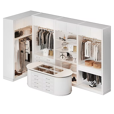 White Walk In Closet Storage Design With Hanging Rods Drawers And Storage Boxes 3d model
