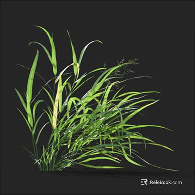 Lush Green Grass With Long Slender Leaves And Fresh Natural Foliage 3d model 
