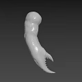 3D Design Artist Creates Realistic Biological Claw Model With Sharp Talons And Smooth Surface