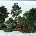 Mixed Landscape Plants Featuring Green Trees Reddish Shrubs And Lush Foliage On Light Ground