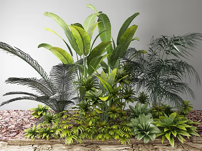 Variety Of Lush Green Plants Including Banana Leaves Ferns And Succulents 3d model