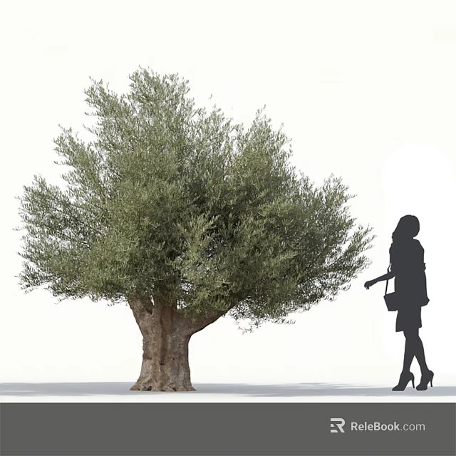Olive Tree With Silhouette Of A Woman Wearing High Heels And Carrying Handbag 3d model 
