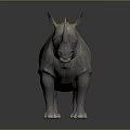 Rhino With Two Horns Standing On Gray Background Showing Detailed Body Structure