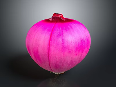 Fresh Red Onion With Vibrant Purple Color Whole Bulb Isolated On Dark Background 3d model