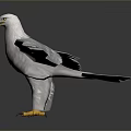 White Eagle With Spread Wings And Yellow Claws On Gray Background