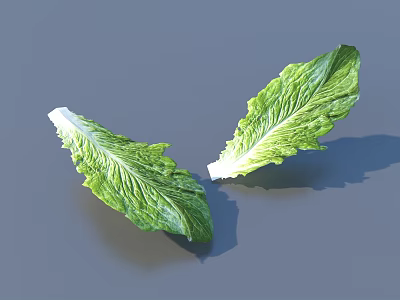 Two Fresh Green Lettuce Leaves with Crisp Texture on Gray Background 3d model