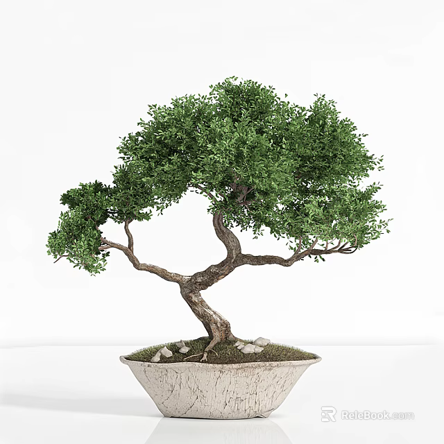 Artistic Bonsai Tree With Curved Trunk And Lush Green Foliage In Ceramic Pot With Stones 3d model 