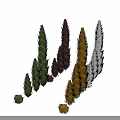 Colorful Decorative Plants With Various Heights Different Shapes And Multiple Colors